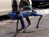 Полиция Нью-Йорка тестирует робопса с искусственным интеллектом (видео)