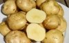 Себестоимость казахстанского картофеля можно снизить