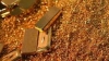 Центробанк России скупил 100 тонн золота