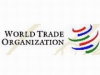 Грузия сделала РФ новое предложение на переговорах о ВТО
