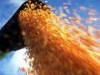 Украинские аграрии надеются собрать 46,5 млн тонн зерна