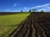 Земельный банк заработает после принятия закона о рынке земли - эксперт
