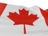 Главой ЦБ Канады избран Стивен Полоз