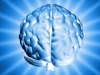 Технология 3D-печати нейросетей мозга получила €3,3 млн на развитие