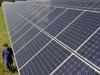 Германия получила 41% электроэнергии из возобновляемых источников