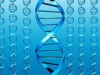 Биологи поняли назначение мусорной ДНК