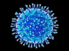 При нынешних темпах человечество вакцинируется от Covid-19 за 7 лет — Bloomberg