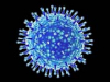 Ученые разработали жвачку, которая может нейтрализовать коронавирус