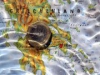 Греческая лепта в развал еврозоны