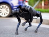 Китайская компания выпустила «робособаку» в 27 раз дешевле, чем у Boston Dynamics (видео)