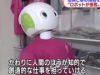 Японский магазин использует работа, чтобы проверить, носят ли люди маски