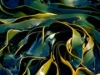 Морские водоросли станут основой биотоплива