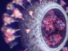 Ученые создали точнейшую 3D-модель коронавируса (фото, видео)