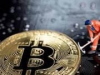 Майами заманивает китайских Bitcoin-майнеров низкими ценами на энергию