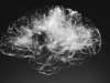 Ученые подключили человеческий мозг к компьютеру по беспроводной сети