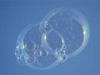 Десять "пузырей", которые скоро лопнут