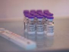 BioNTech рассчитывает заработать 16 млрд евро на продаже вакцины против COVID-19