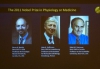 Объявлены нобелевские лауреаты 2011 года по физиологии и медицине